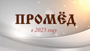Компания Промёд в 2023 году